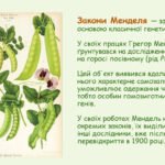 закони менделя
