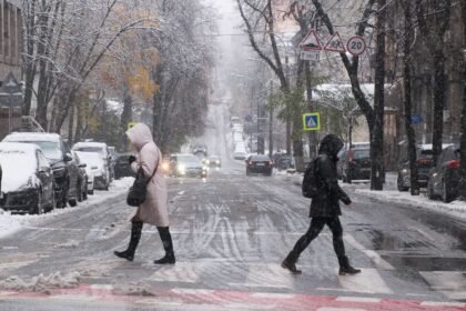синоптика