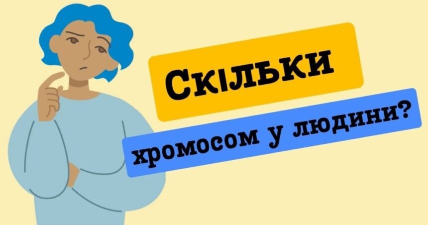скільки хромосом у людини