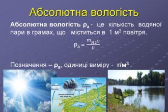 абсолютна вологість повітря
